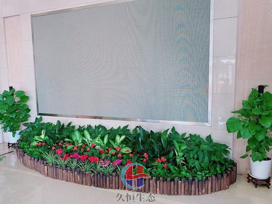 绍兴企业大厅显示屏组合花卉绿植摆放